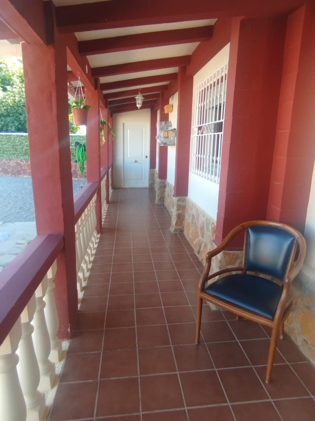 Imagen 6