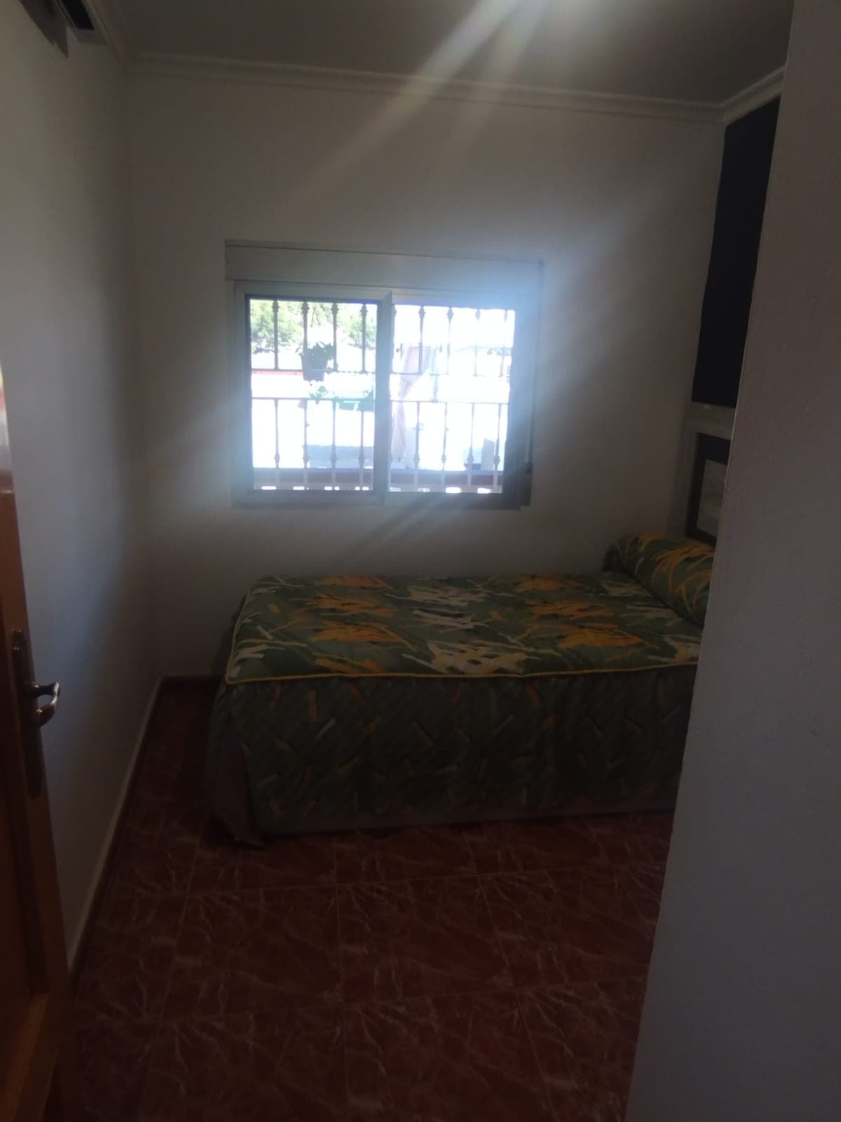 Imagen 21