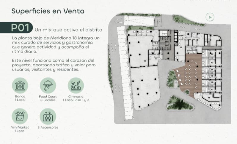Imagen 16