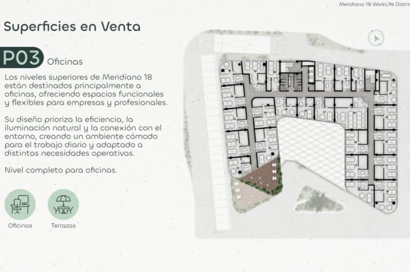 Imagen 19