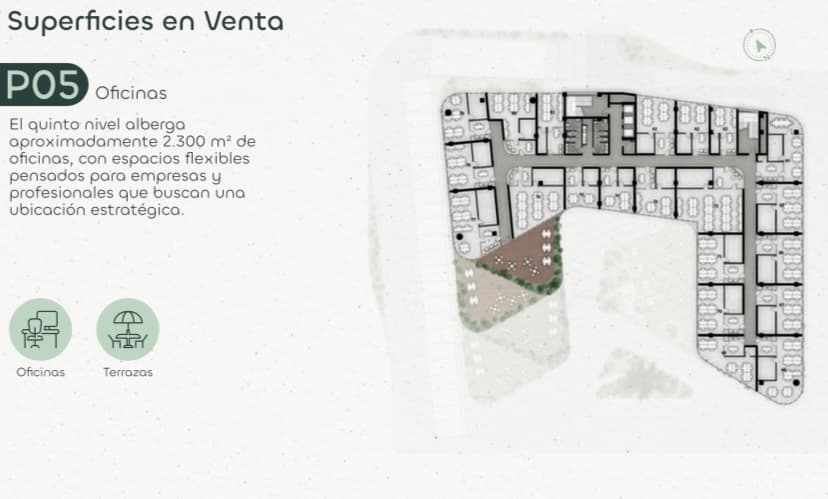Imagen 22